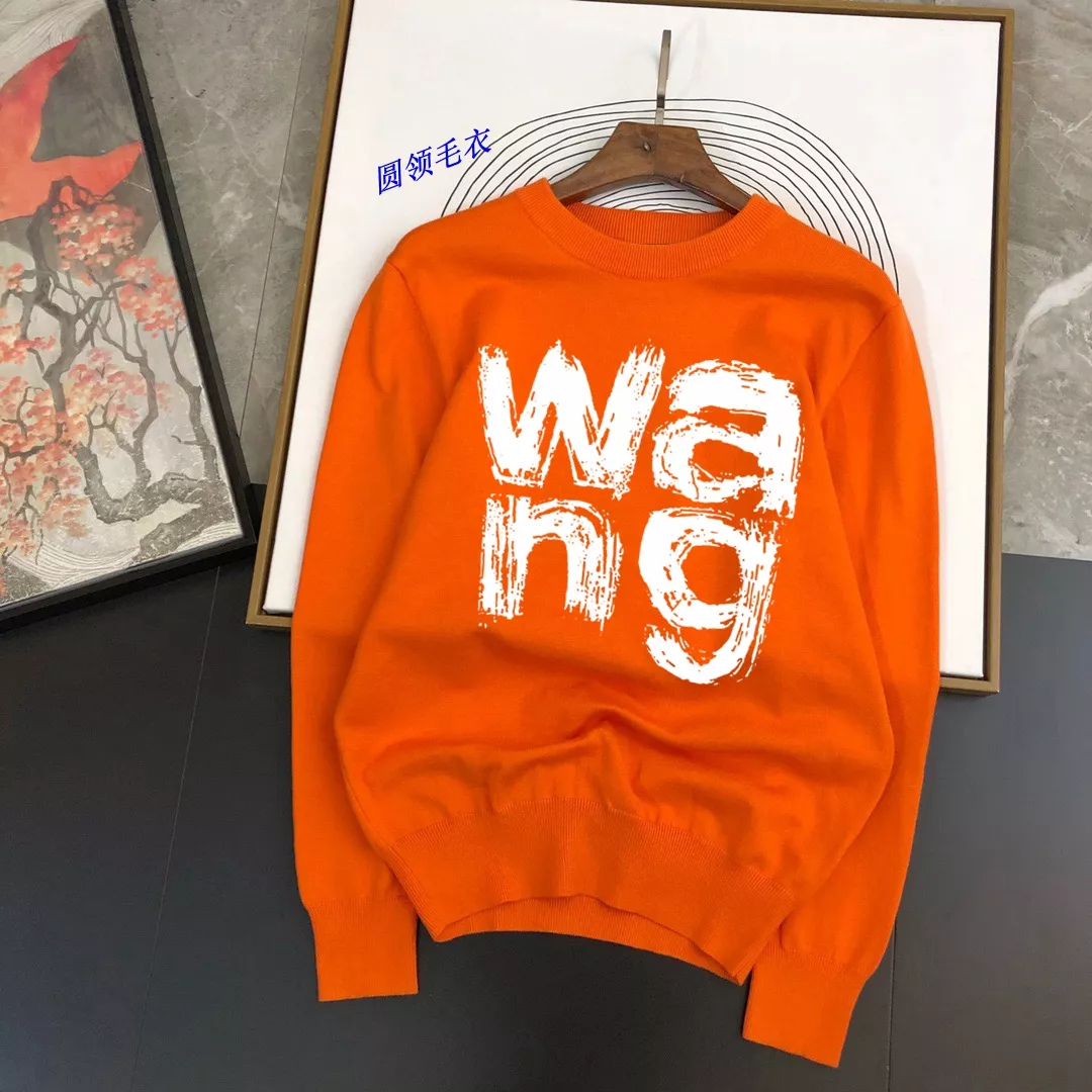 Alexander Wang Sweaters Long Sleeved For Men NewStyle 9311