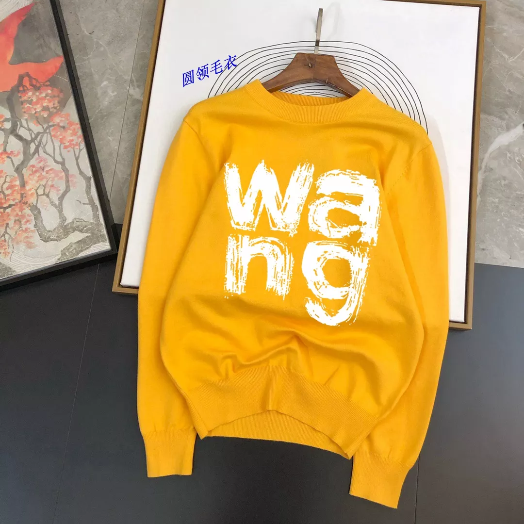Alexander Wang Sweaters Long Sleeved For Men SportInspired 408