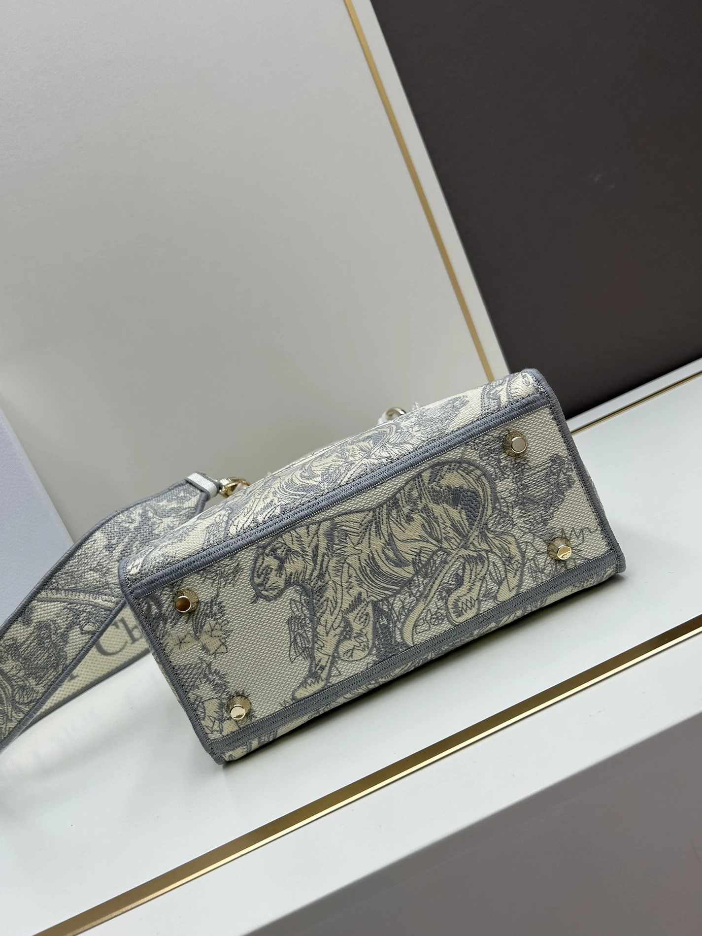AllSeason 1232 Christian Dior AAA Quality Handbags For Women