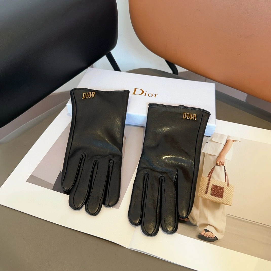 AllSeason 2999 Christian Dior Gloves