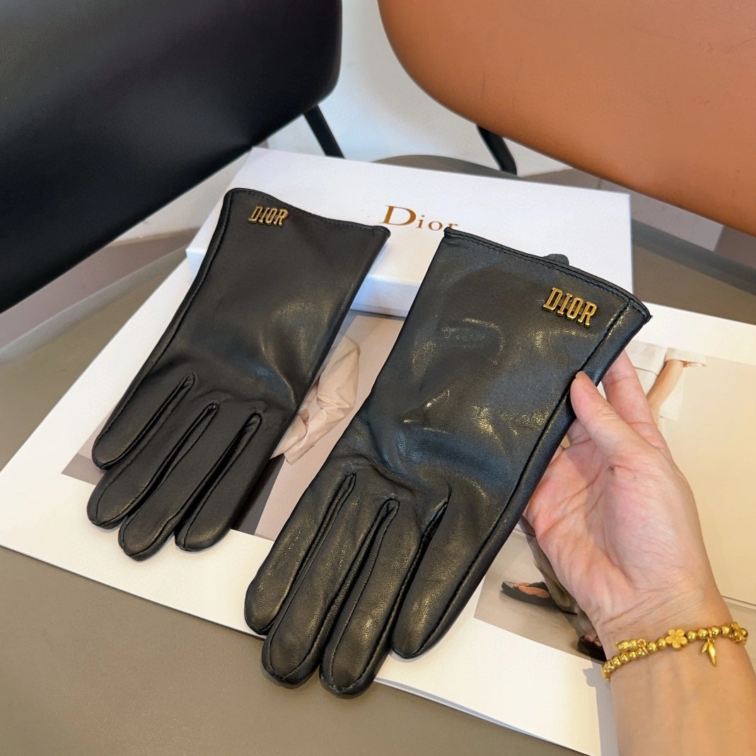 AllSeason 2999 Christian Dior Gloves