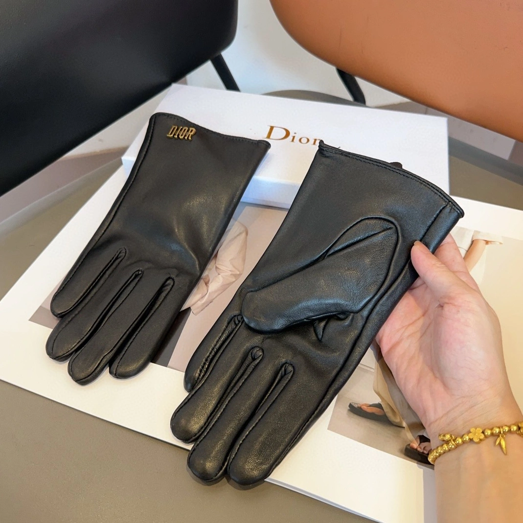 AllSeason 2999 Christian Dior Gloves