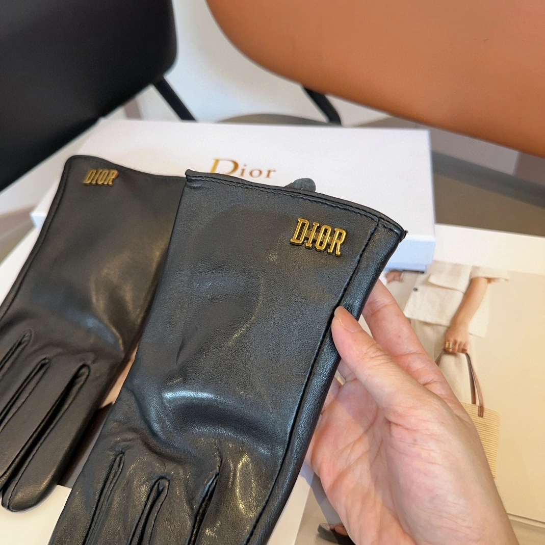 AllSeason 2999 Christian Dior Gloves