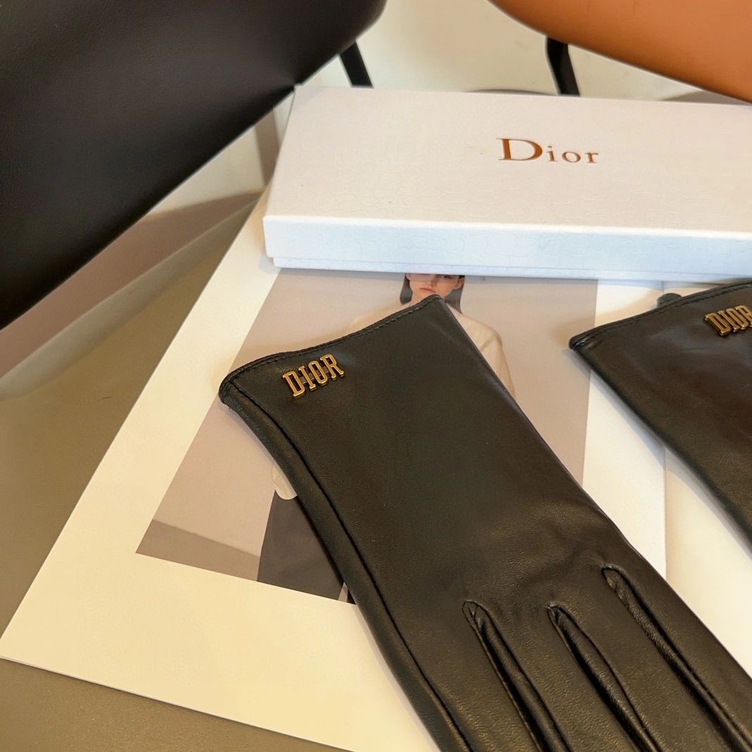 AllSeason 2999 Christian Dior Gloves