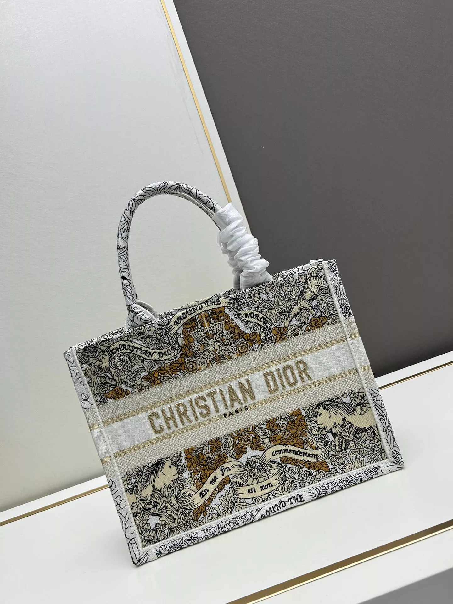 BestValue 2657 Christian Dior AAA Quality Tote-Handbags For Women