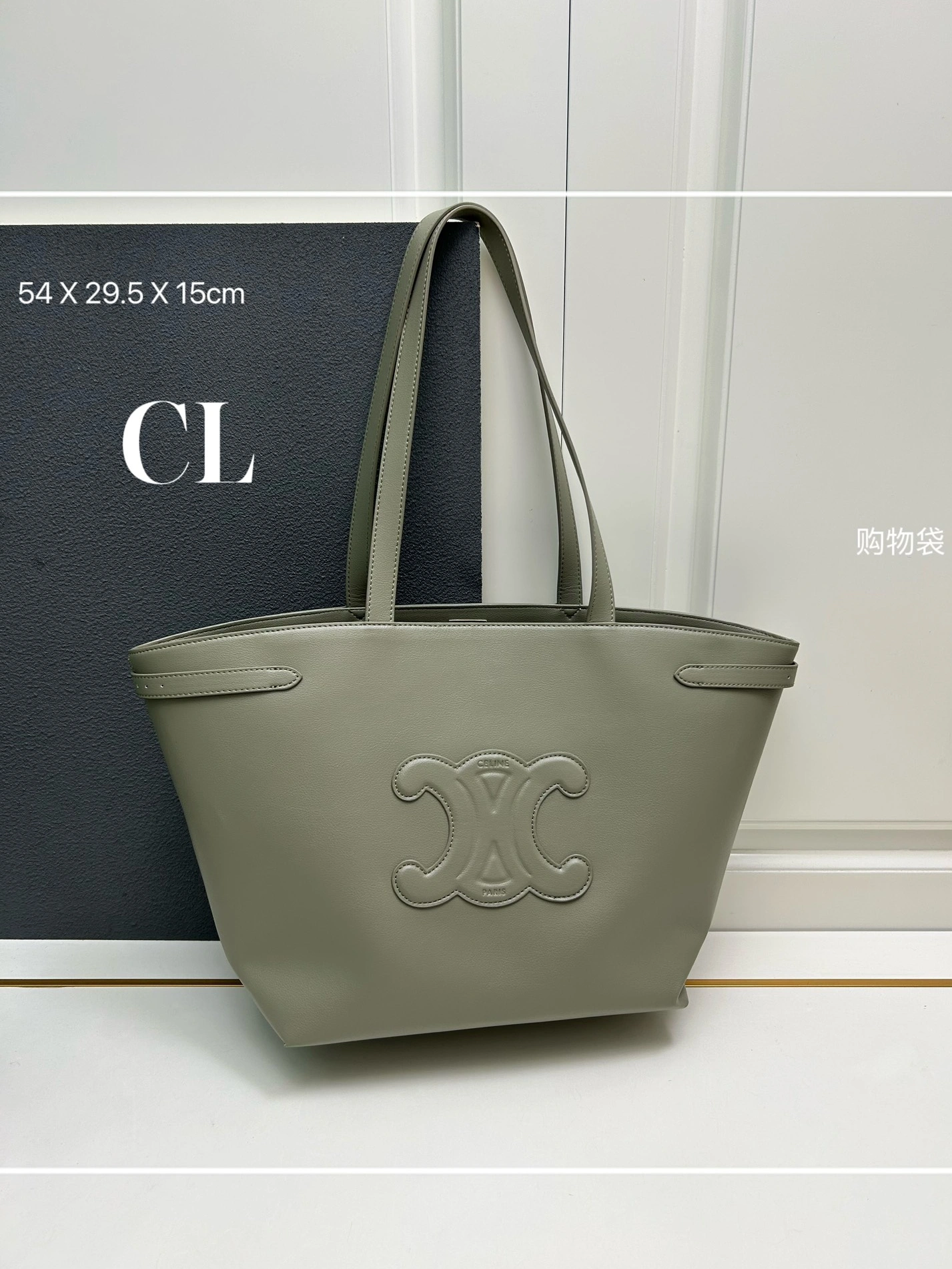 BestValue 4698 Celine AAA Quality Shoulder Bags For Women