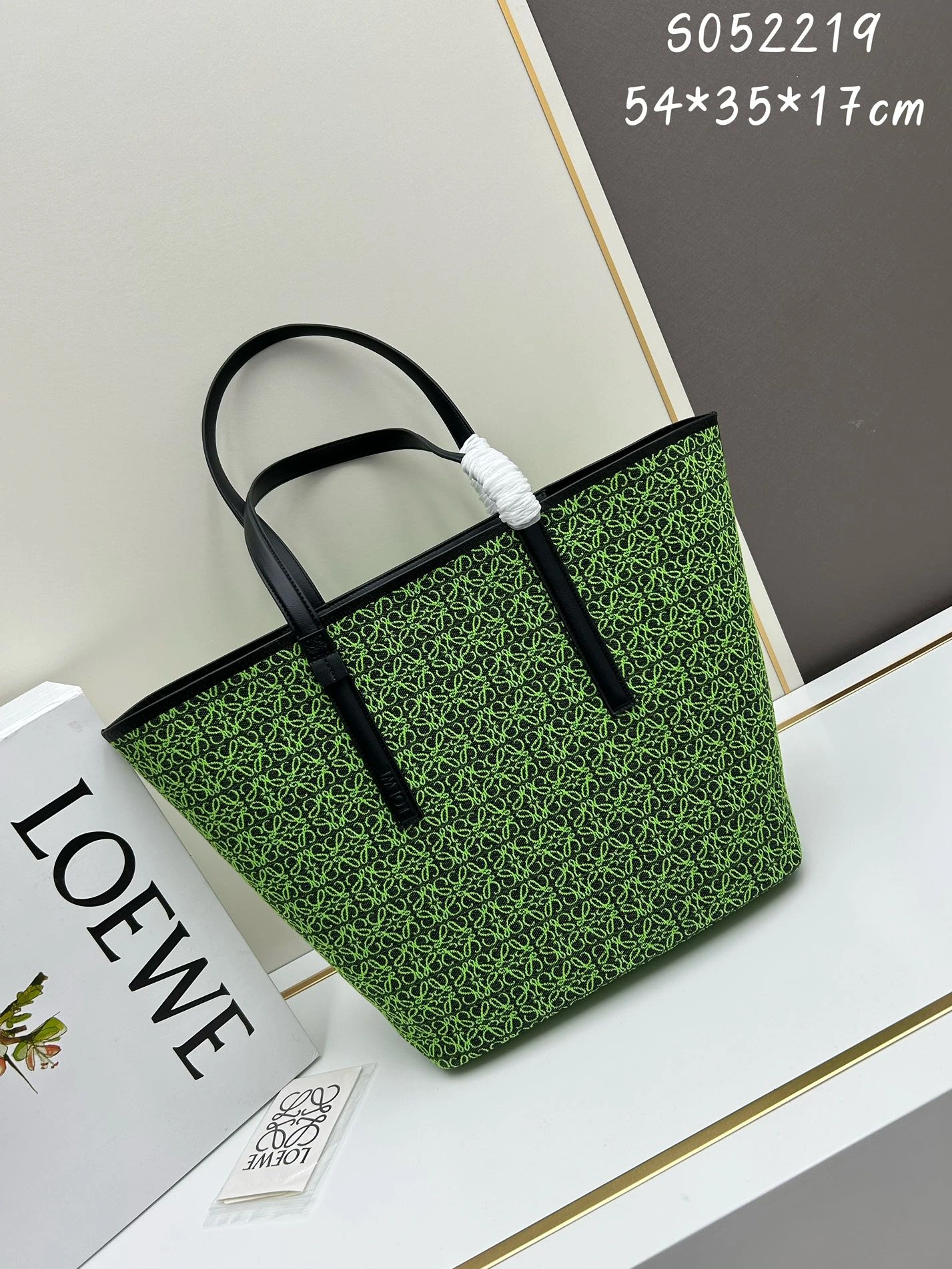 BestValue 5807 LOEWE AAA Quality Shoulder Bags For Women