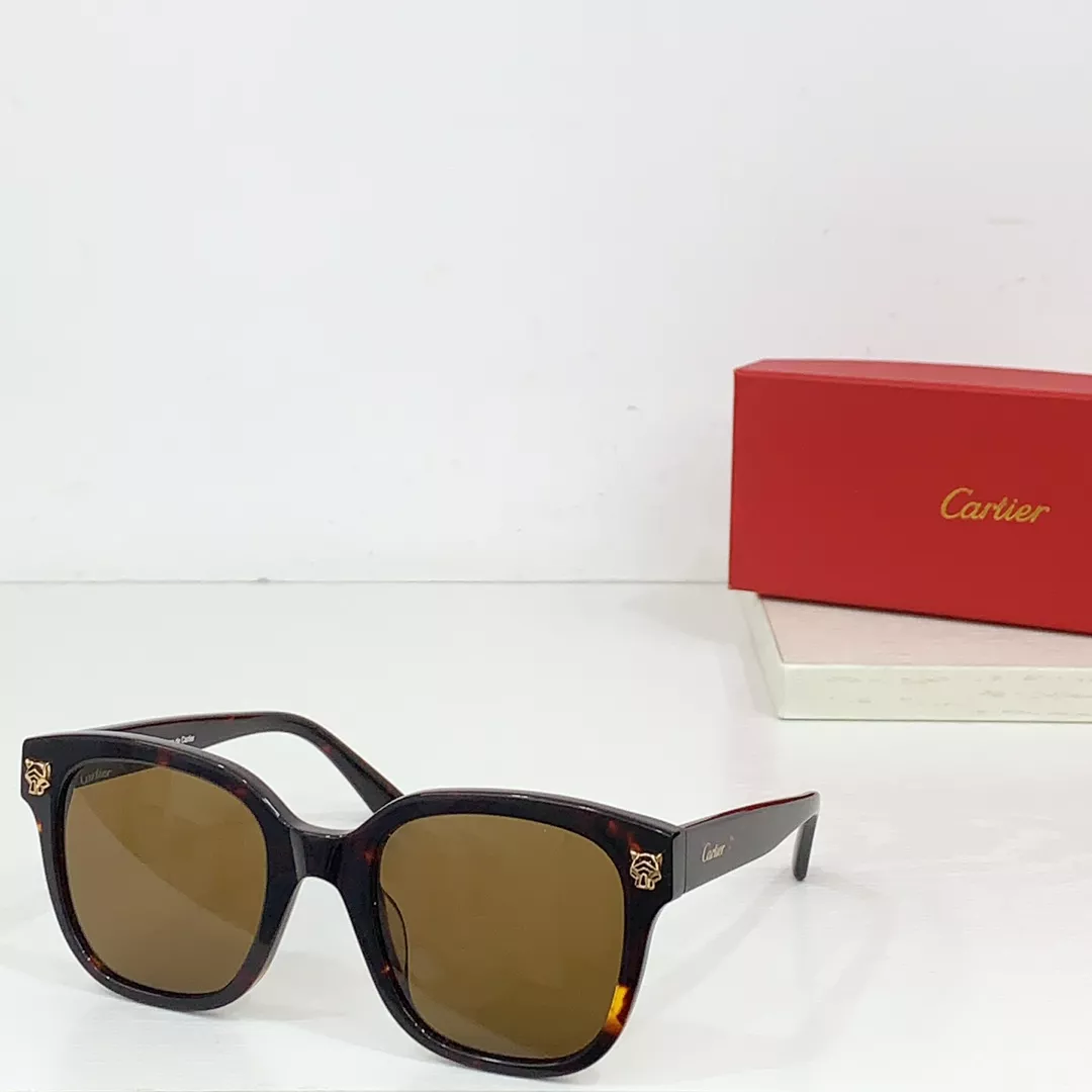 Bold 1970 Cartier AAA Quality Sunglassess