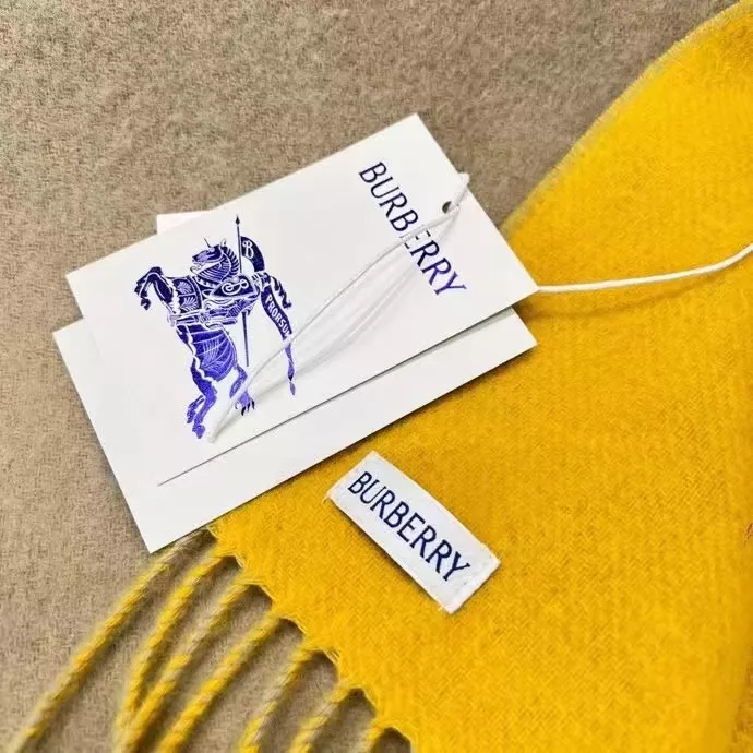 Bold 3792 Burberry Scarf For Unisex