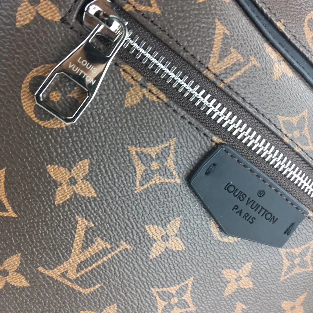 Bold 4864 Louis Vuitton LV AAA Man Backpacks