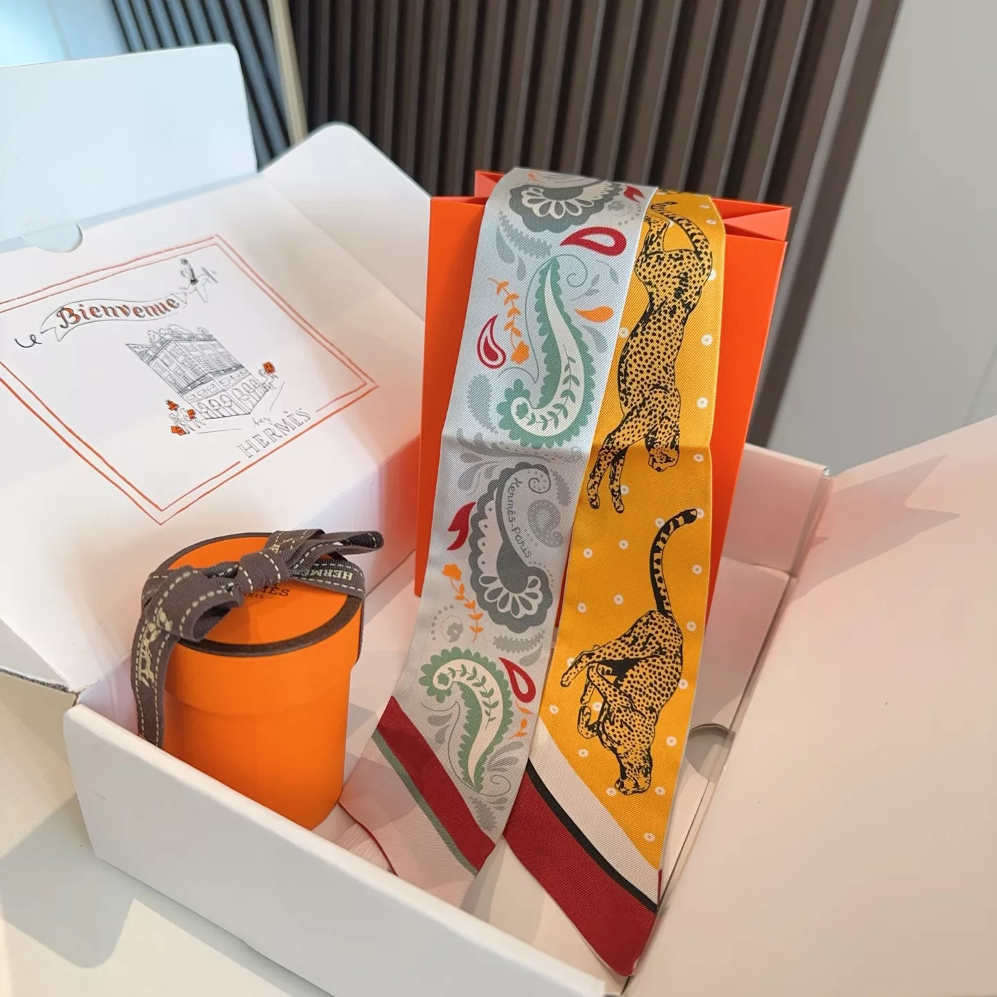 Bold 7617 Hermes Silk Scarf