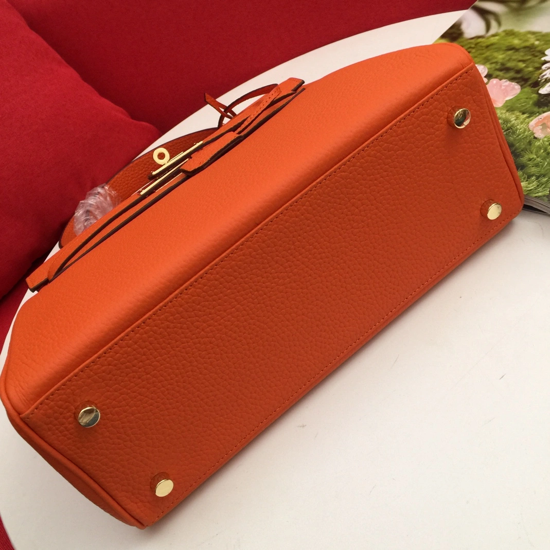 Bold 7737 Hermes AAA Quality Messenger Bags For Women