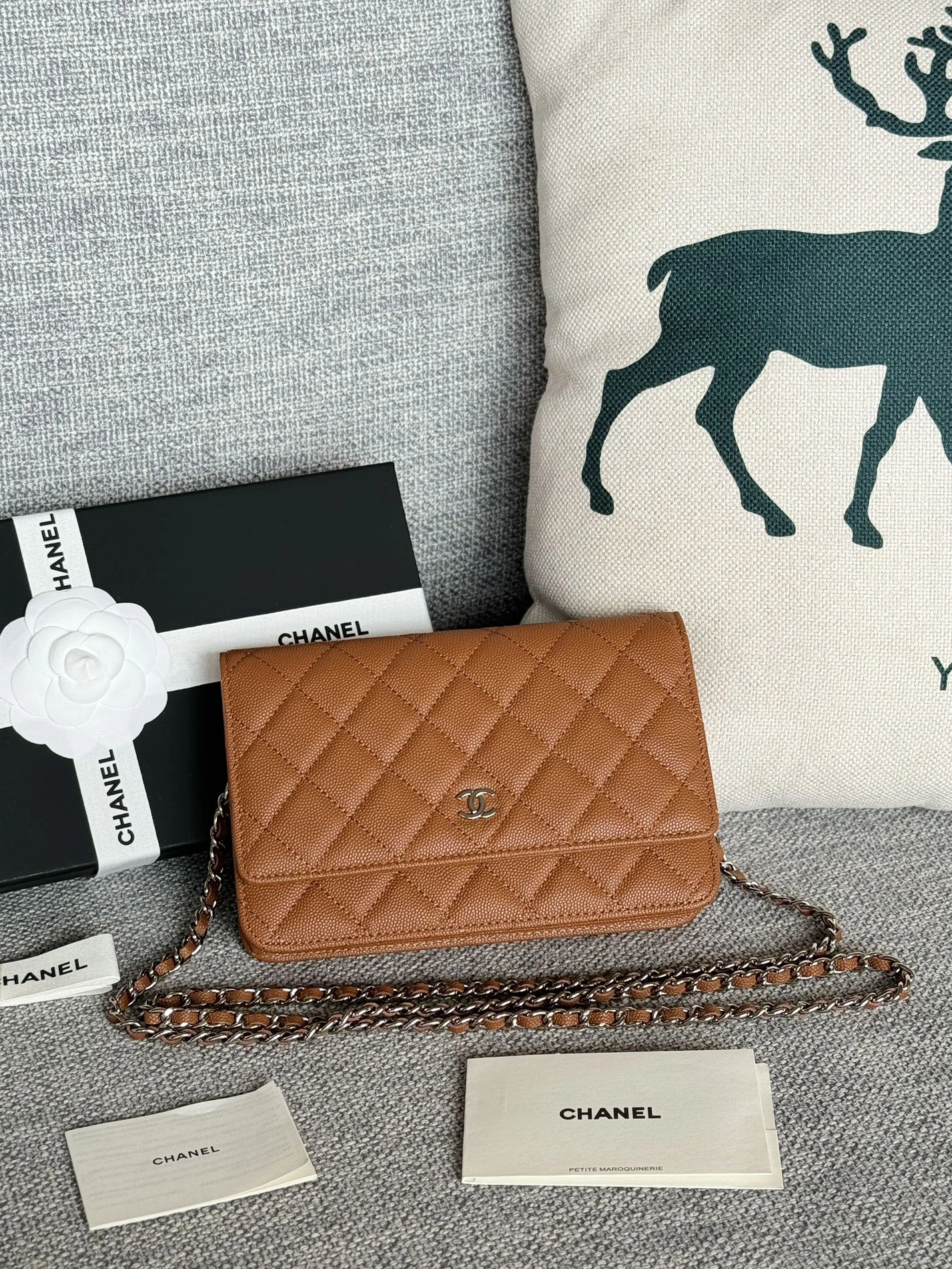 Breathable 251 Chanel AAA Quality Messenger Bags In Silver For Women