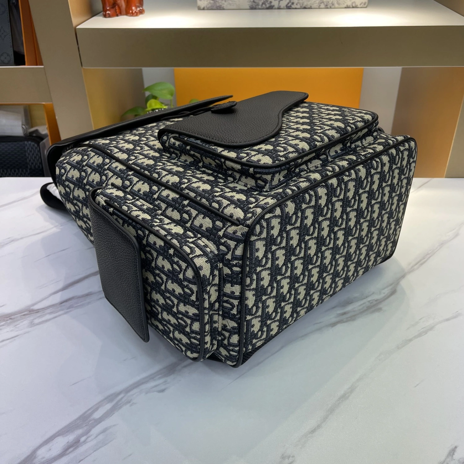 Bright 165 Christian Dior AAA Man Backpacks