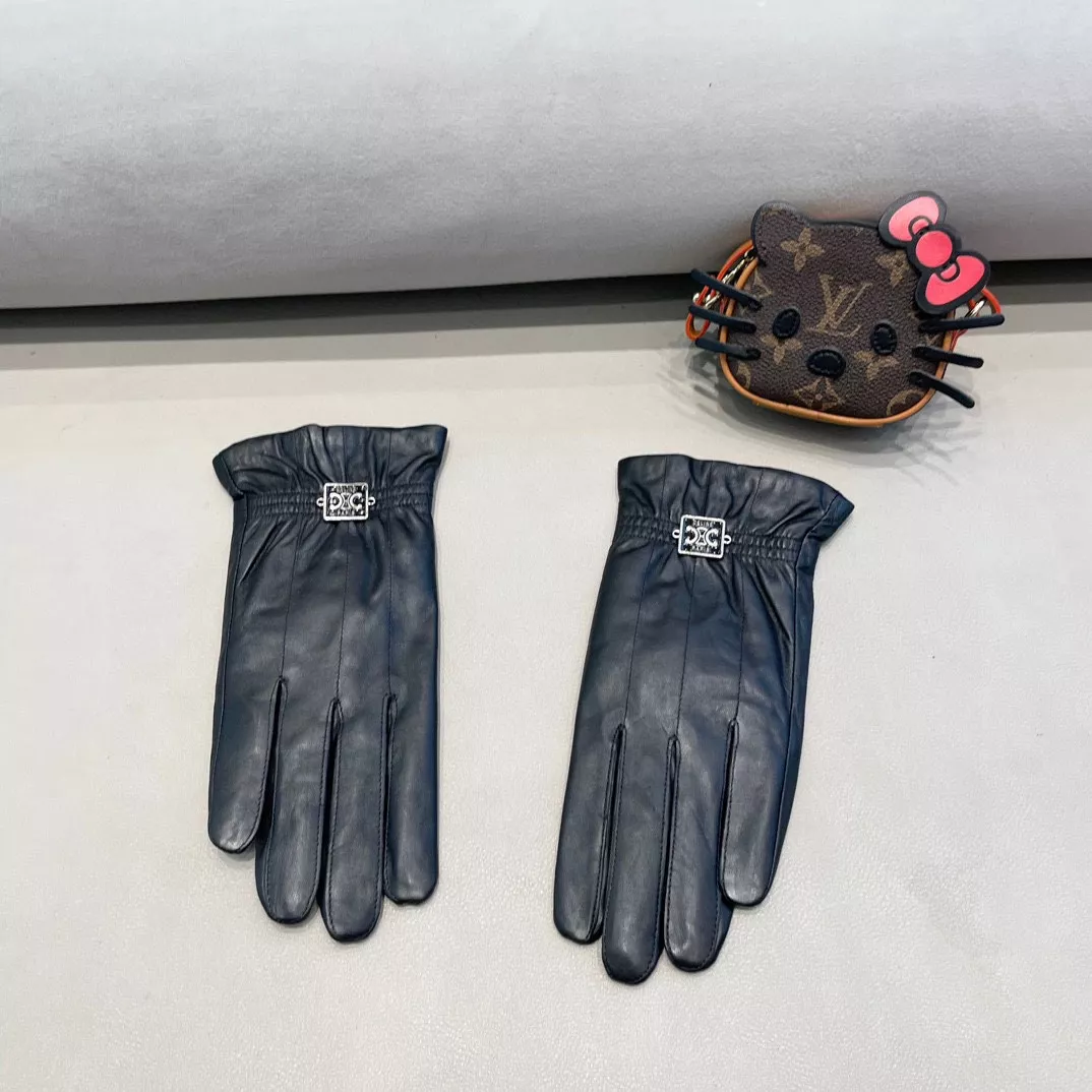 Bright 1658 Celine Gloves For Women