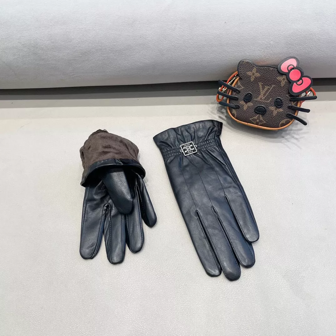 Bright 1658 Celine Gloves For Women
