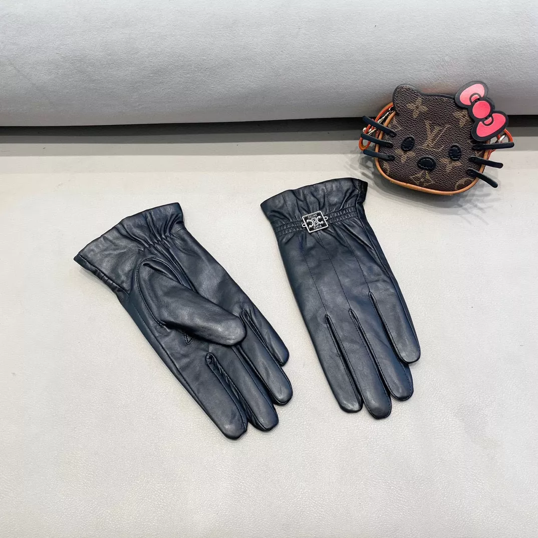 Bright 1658 Celine Gloves For Women
