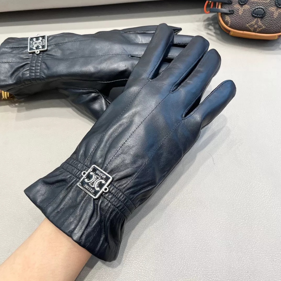 Bright 1658 Celine Gloves For Women