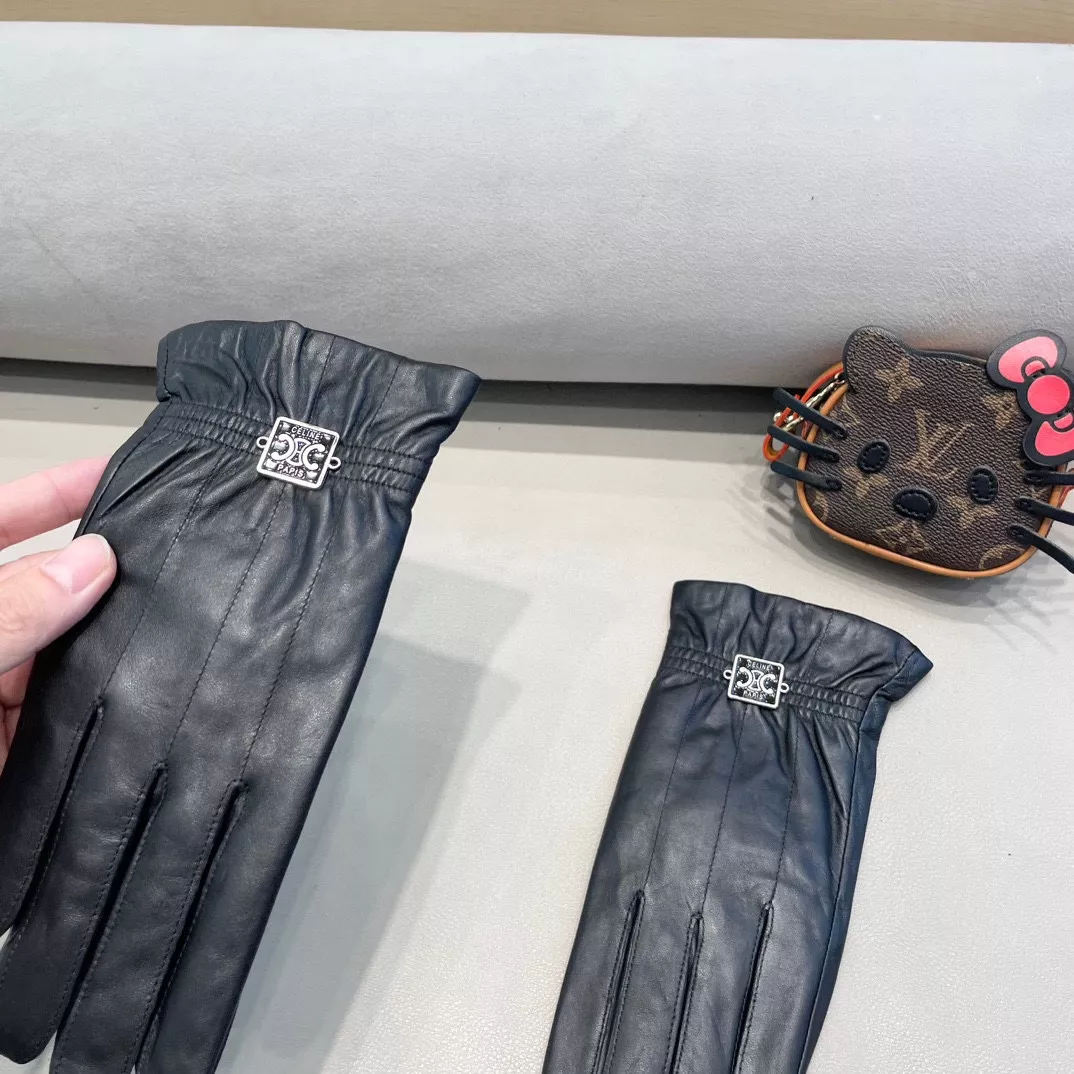 Bright 1658 Celine Gloves For Women