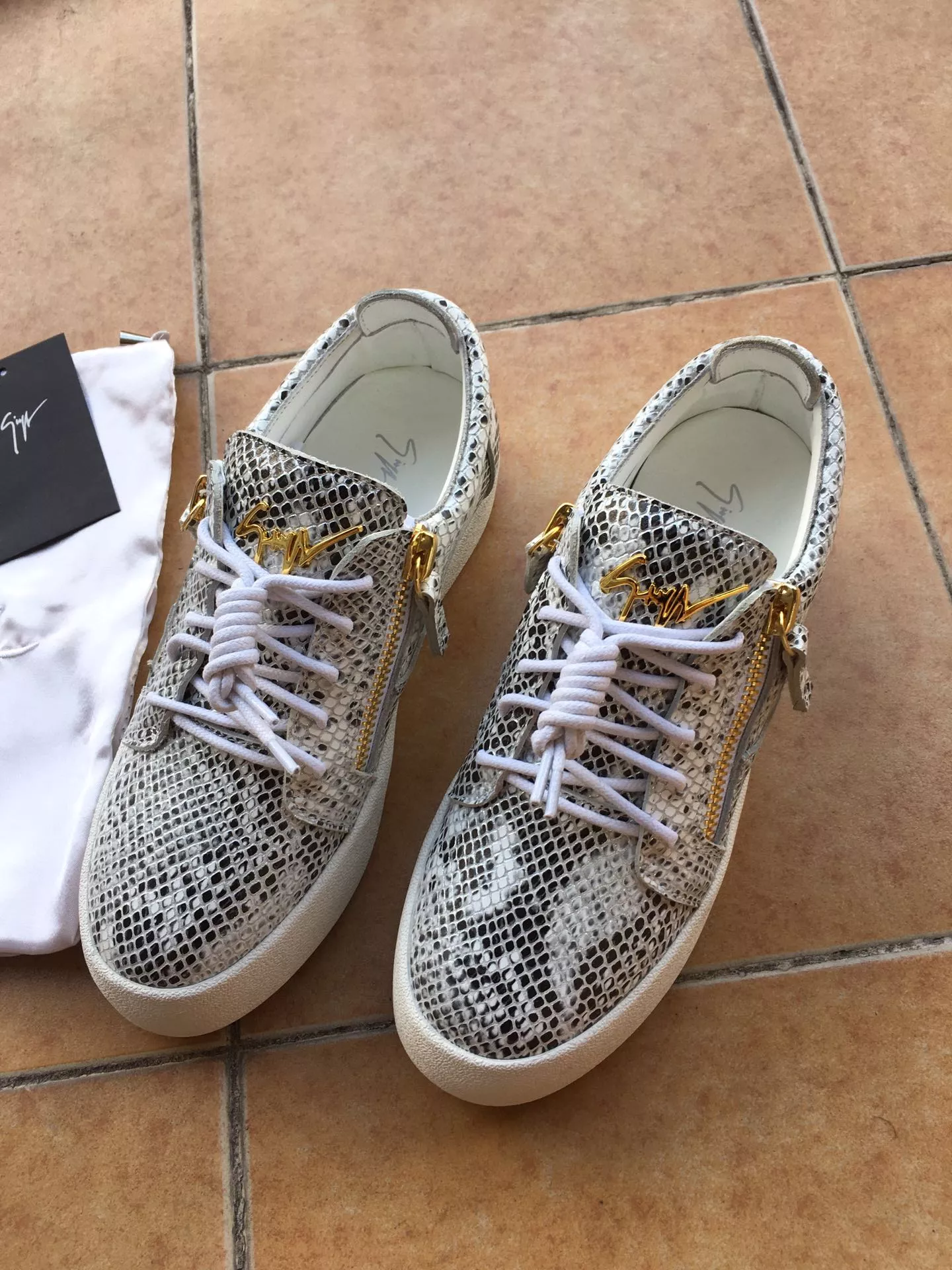 Bright 1746 Giuseppe Zanotti Casual Shoes For Men