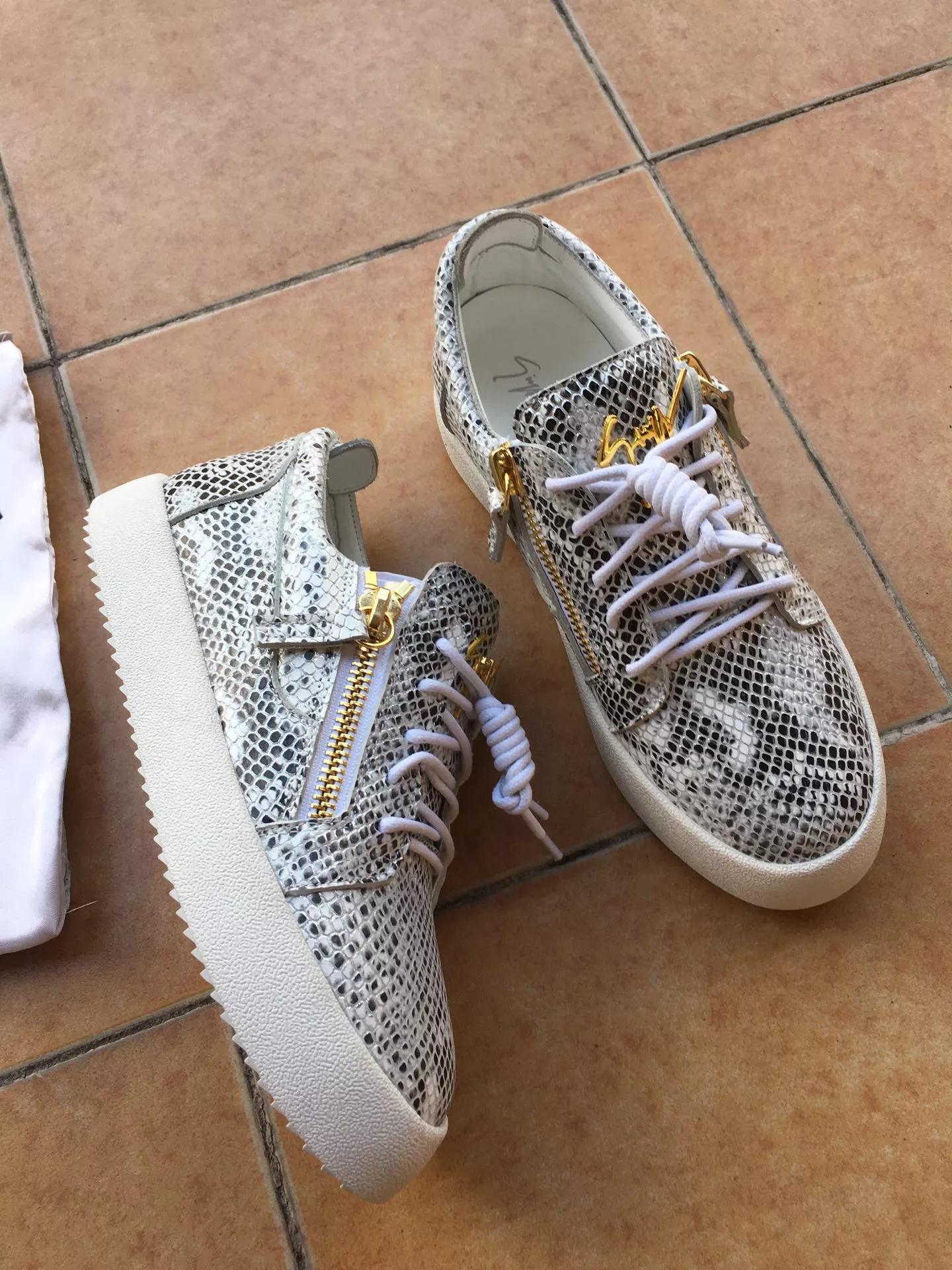 Bright 1746 Giuseppe Zanotti Casual Shoes For Men