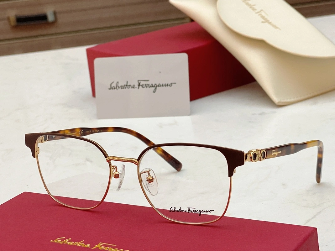 Bright 2741 Salvatore Ferragamo Goggles