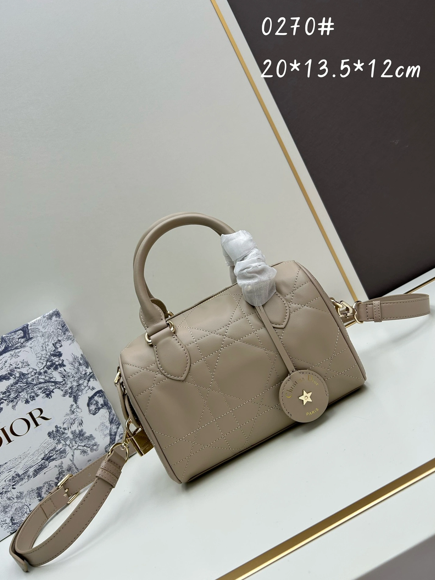 Bright 6781 Christian Dior AAA Quality Handbags For Women