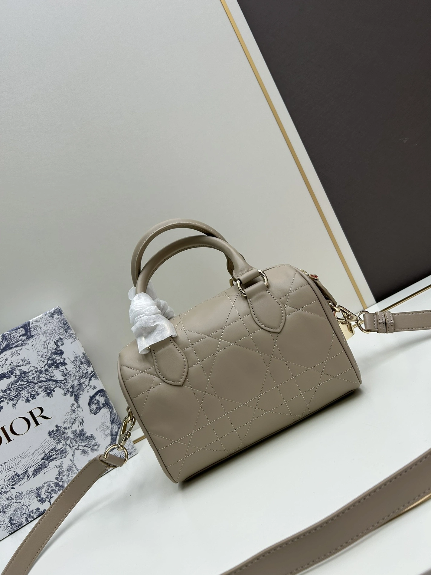 Bright 6781 Christian Dior AAA Quality Handbags For Women
