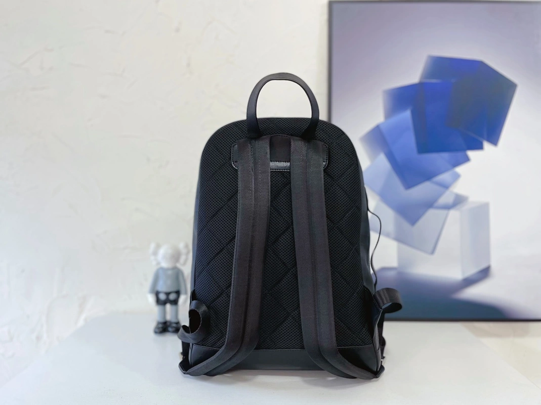 Burberry AAA Man Backpacks Fashionable 4781