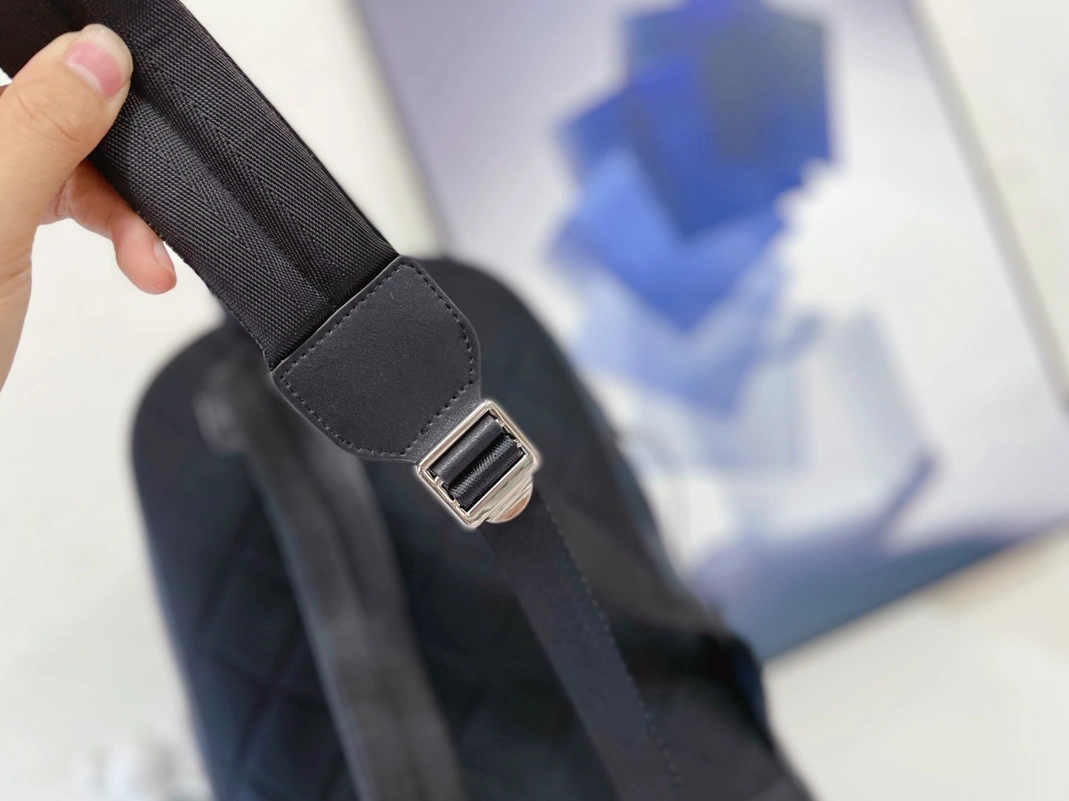 Burberry AAA Man Backpacks Fashionable 4781