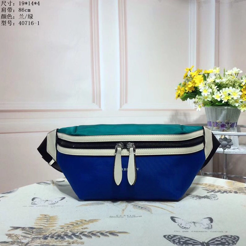 Burberry AAA Quality Belt Bags ModernLook 1410