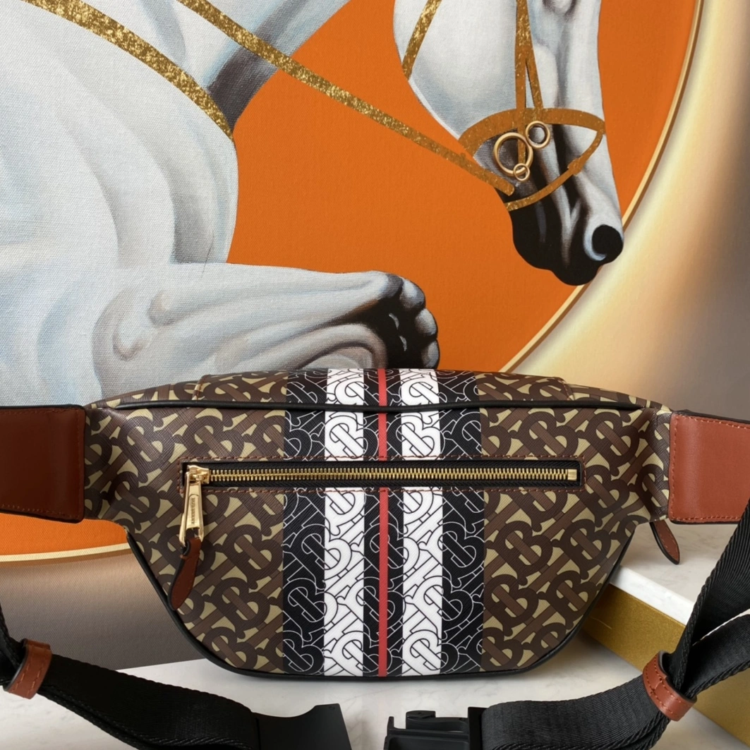 Burberry AAA Quality Belt Bags SmartChoice 6575