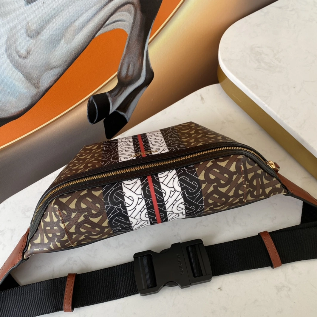 Burberry AAA Quality Belt Bags SmartChoice 6575