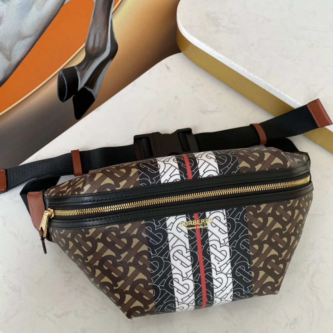 Burberry AAA Quality Belt Bags SmartChoice 6575