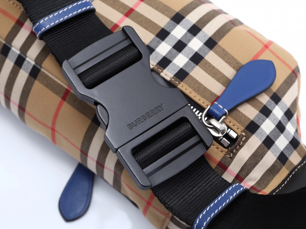 Burberry AAA Quality Belt Bags Trendsetting 5601