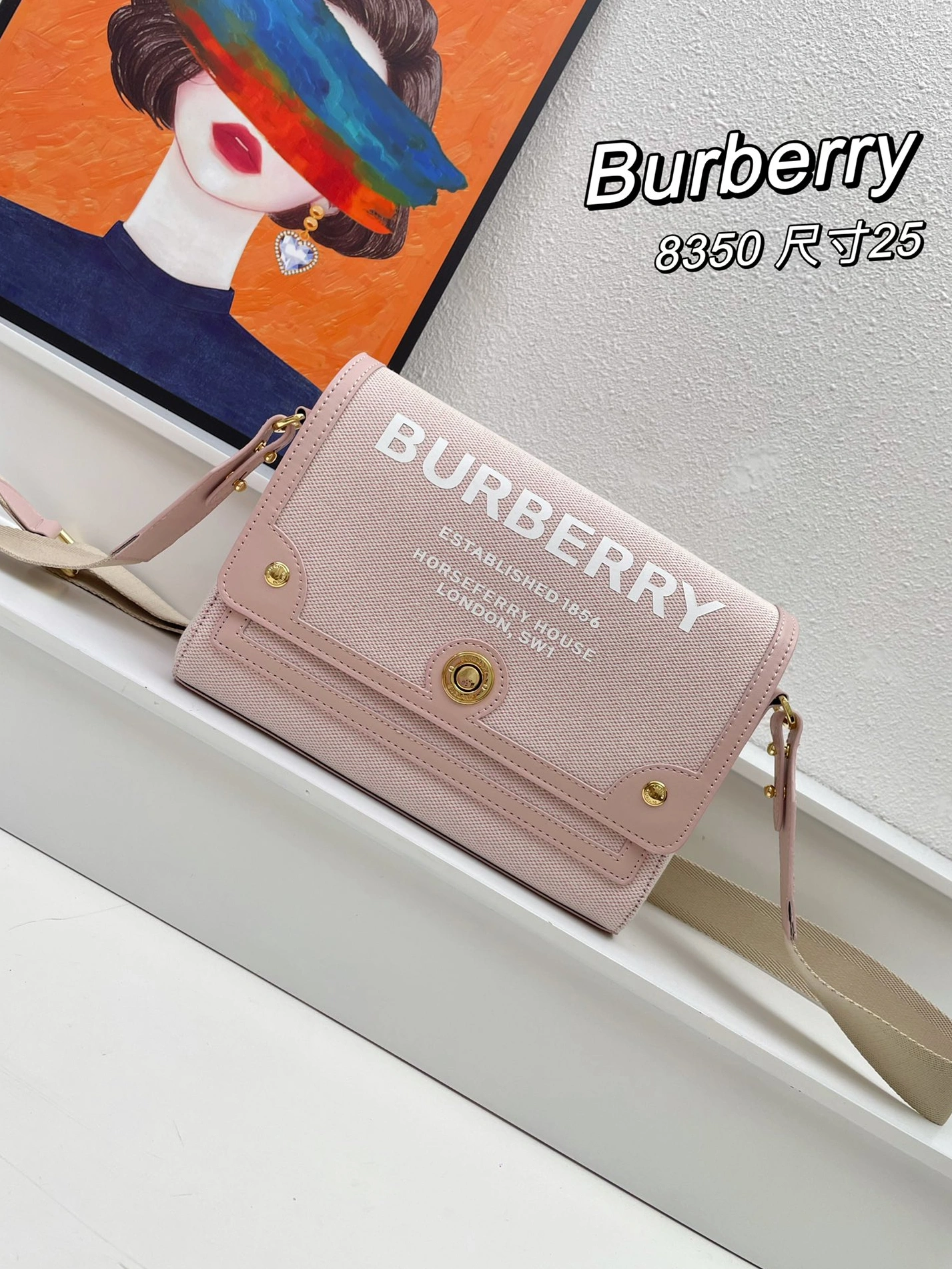 Burberry AAA Quality Messenger Bags For Women DailyWear 9270