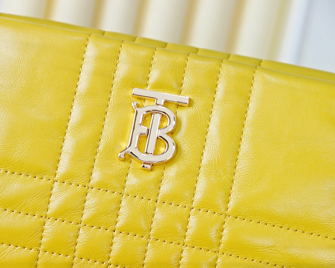 Burberry AAA Quality Messenger Bags For Women Functional 2403