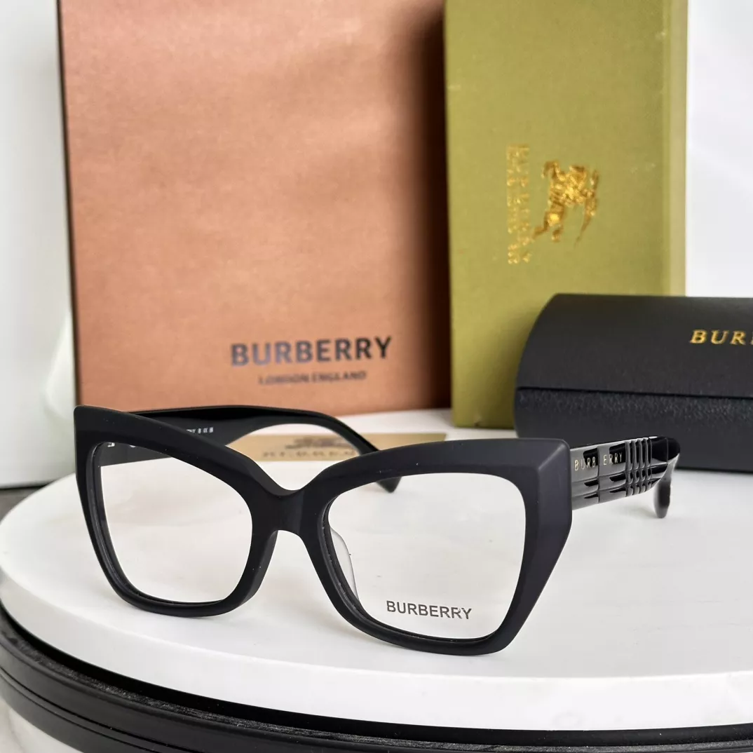 Burberry Fashion Goggles Compact 1147