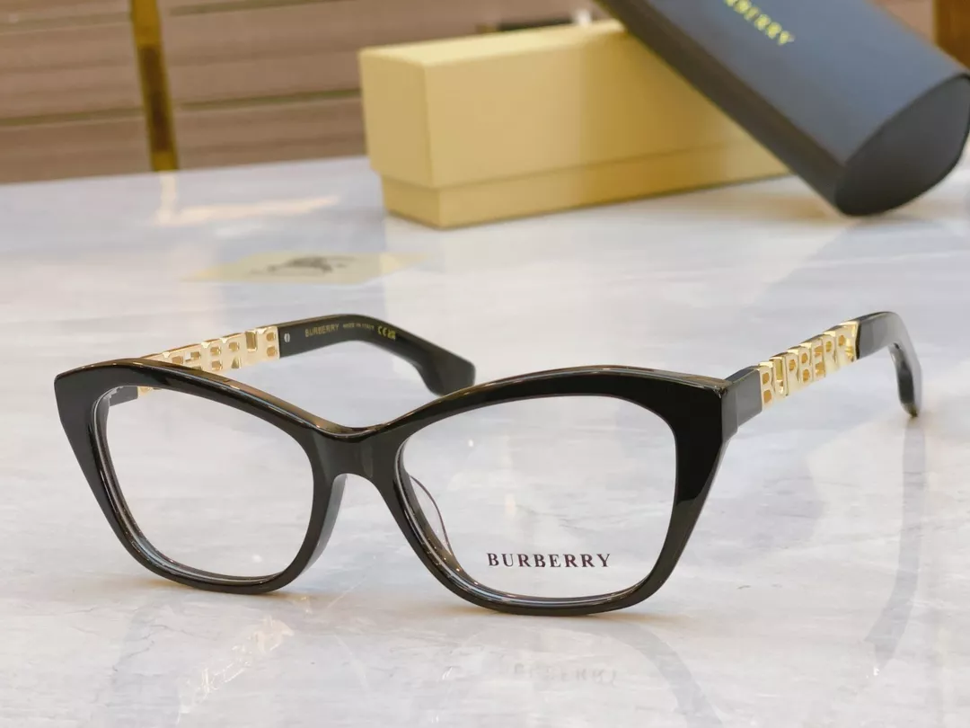 Burberry Fashion Goggles Cozy 212