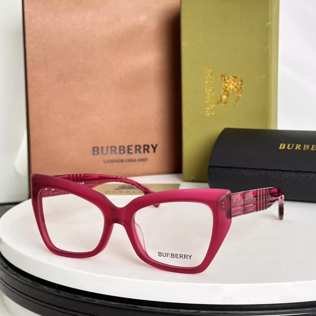 Burberry Fashion Goggles Functional 203