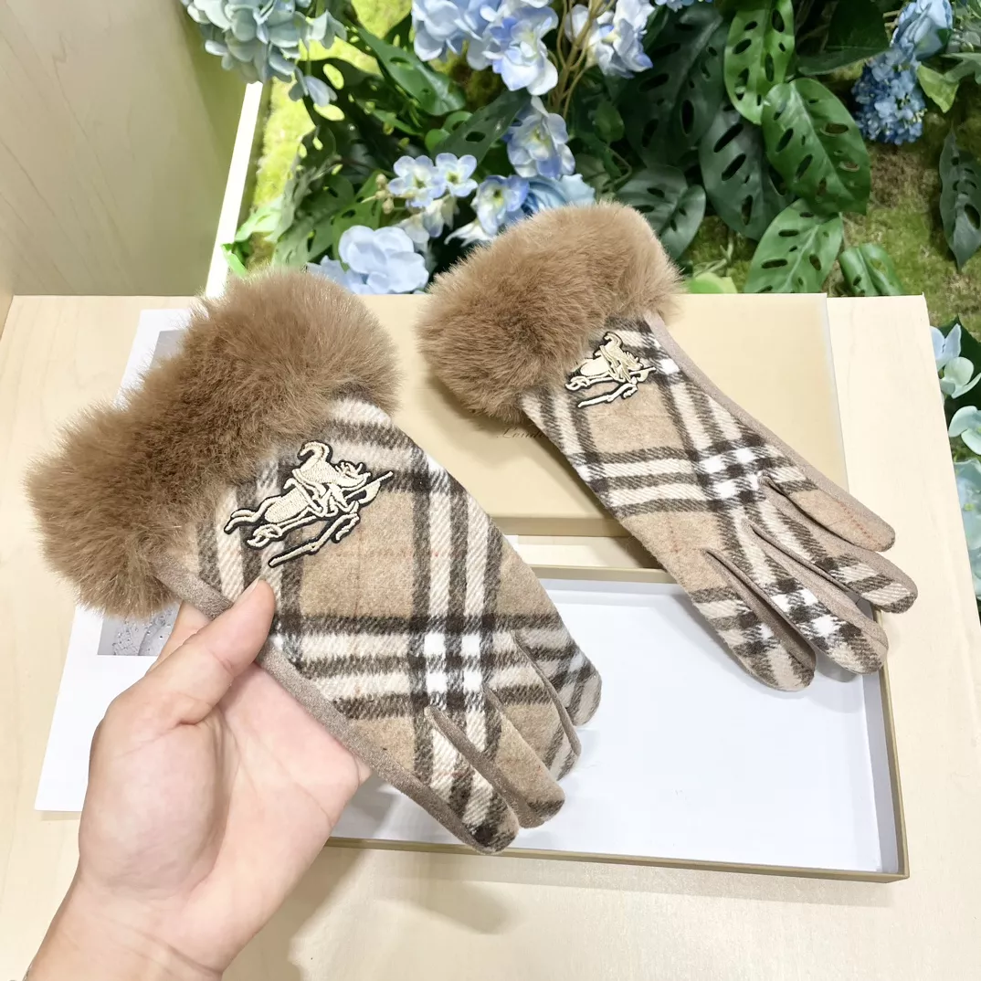 Burberry Gloves Unique 3736