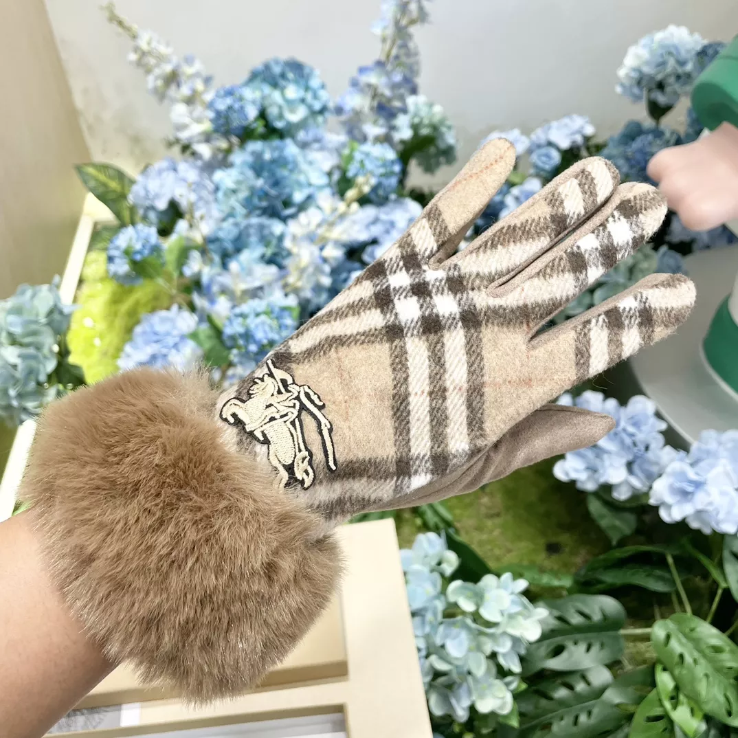 Burberry Gloves Unique 3736