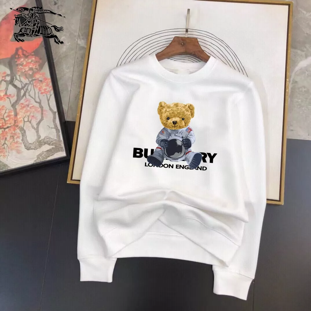 Burberry Hoodies Long Sleeved For Men Popular 2627