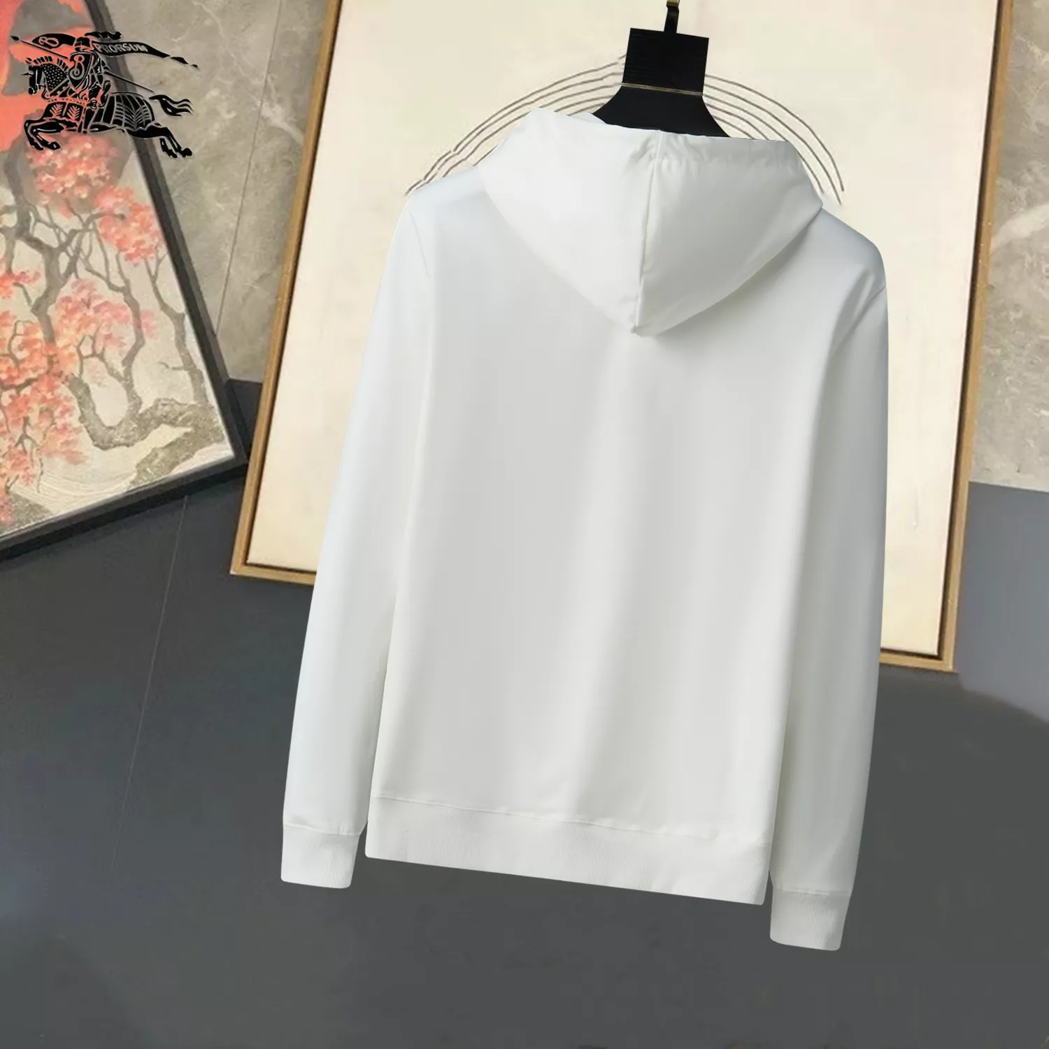 Burberry Hoodies Long Sleeved For Men StreetReady 1597