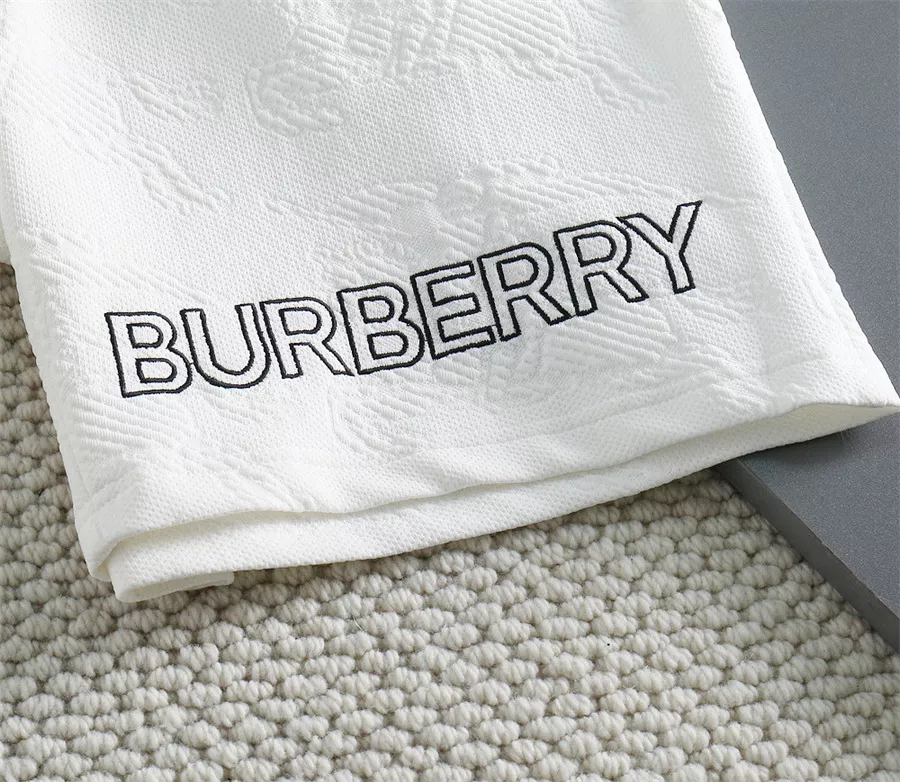 Burberry Pants For Men Functional 1733
