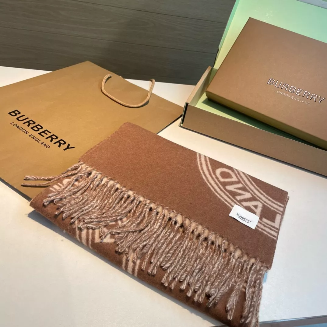 Burberry Scarf For Women AllSeason 5719