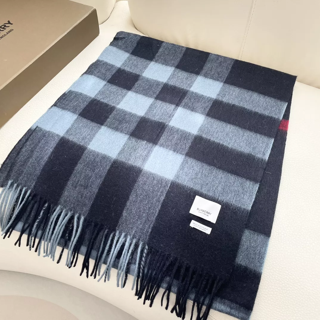 Burberry Scarf For Women Unique 8741