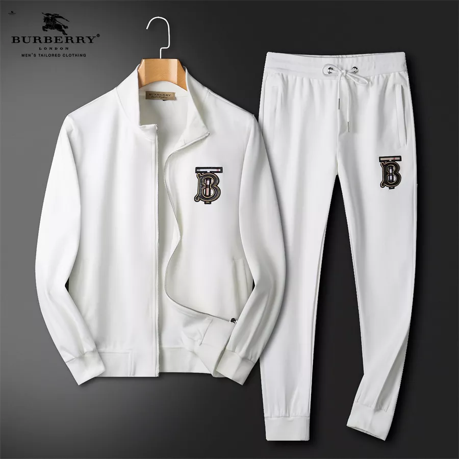 Burberry Tracksuits Long Sleeved For Men Bold 2958