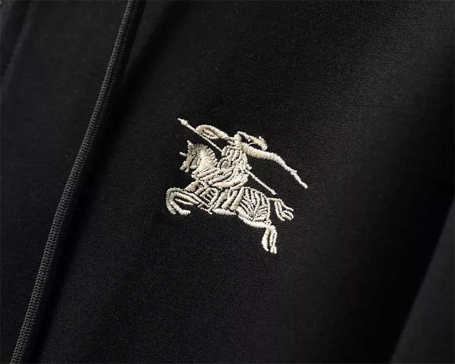 Burberry Tracksuits Long Sleeved For Men Efficient 5896