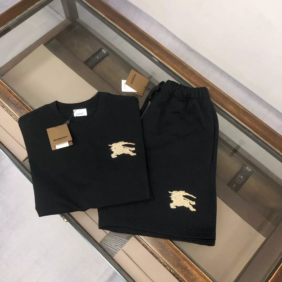 Burberry Tracksuits Short Sleeved For Unisex Sophisticated 8815